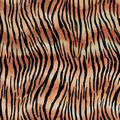 All Occasion Tiger Wrapping Tissue (20"x30")